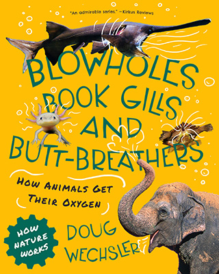 Blowholes Book Gills and Butt-breathers children's book