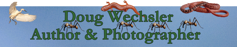 Banner.jpg - 45248 Bytes