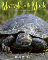 Marvels in the Muck: Life in the Salt Marshes by Doug Wechsler