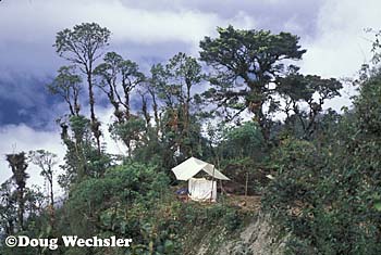 Bird photography tent Tapichalaca Ridge, Ecuador 64058 Bytes