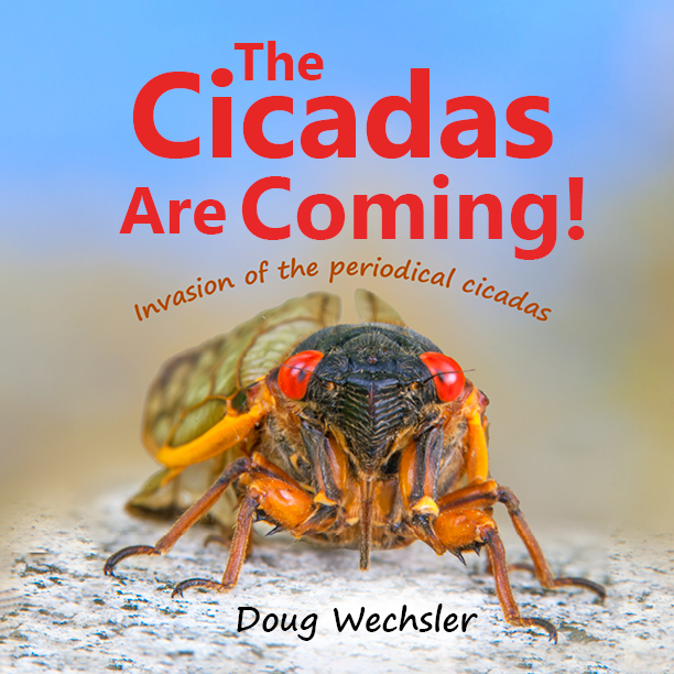 The Cicadas Are Coming cover